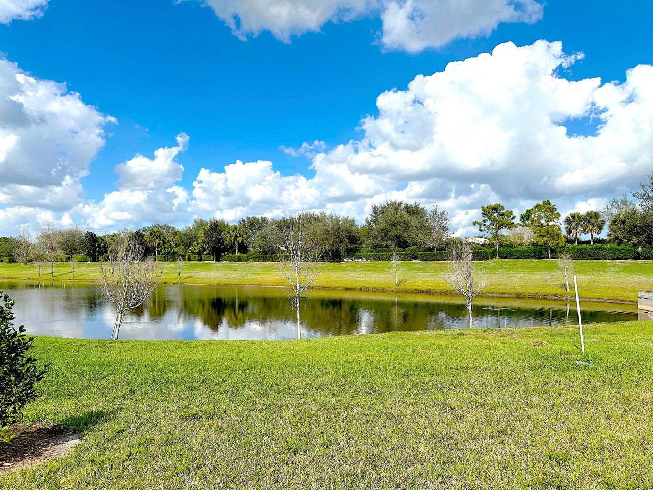 lake view